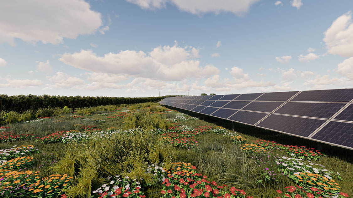 Solar Provider Group